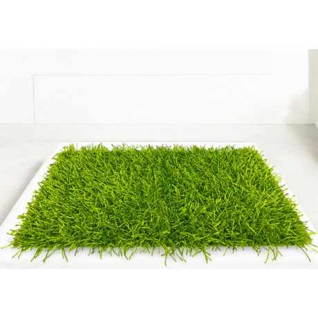Tappeto Shaggy Verde...