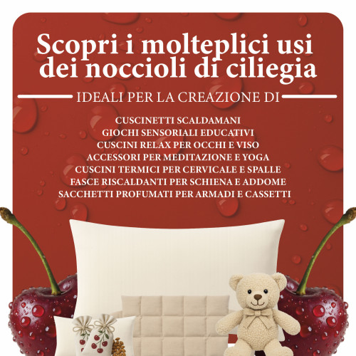 Noccioli selezionati senza impurità per impacchi caldi e freddi naturali